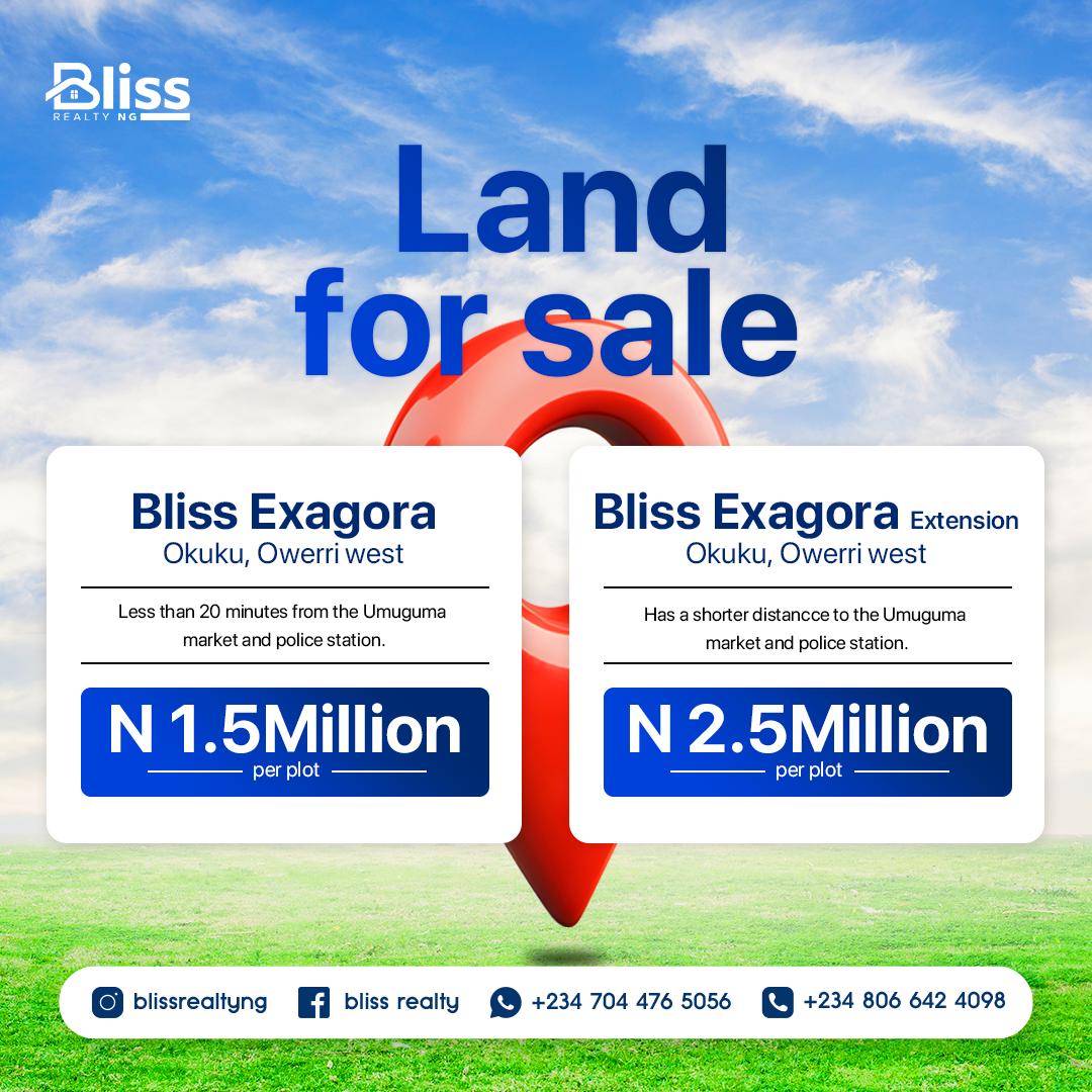 BLISS REALTY ESTATE