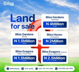 BLISS REALTY ESTATE